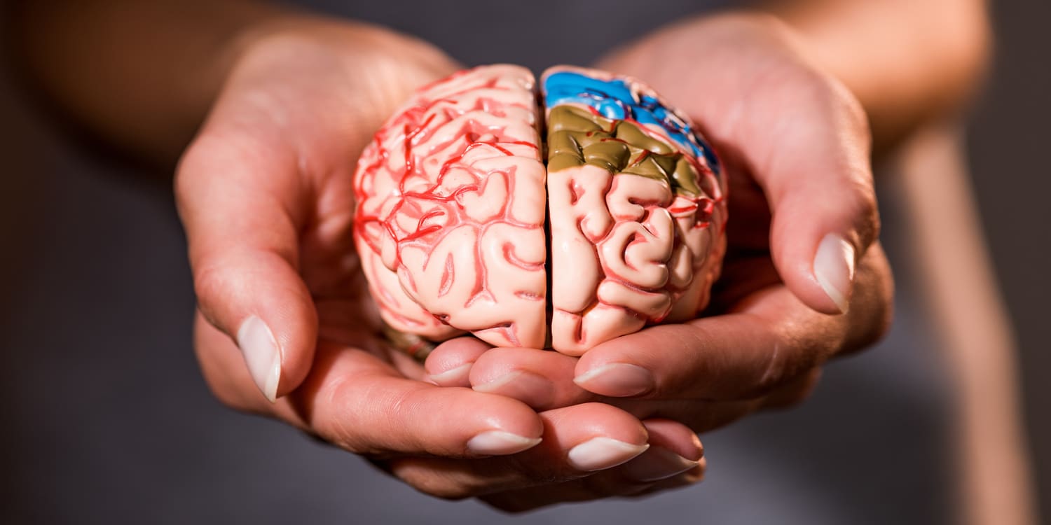 riproduzione cervello in mano a donna chatgpt 4.5