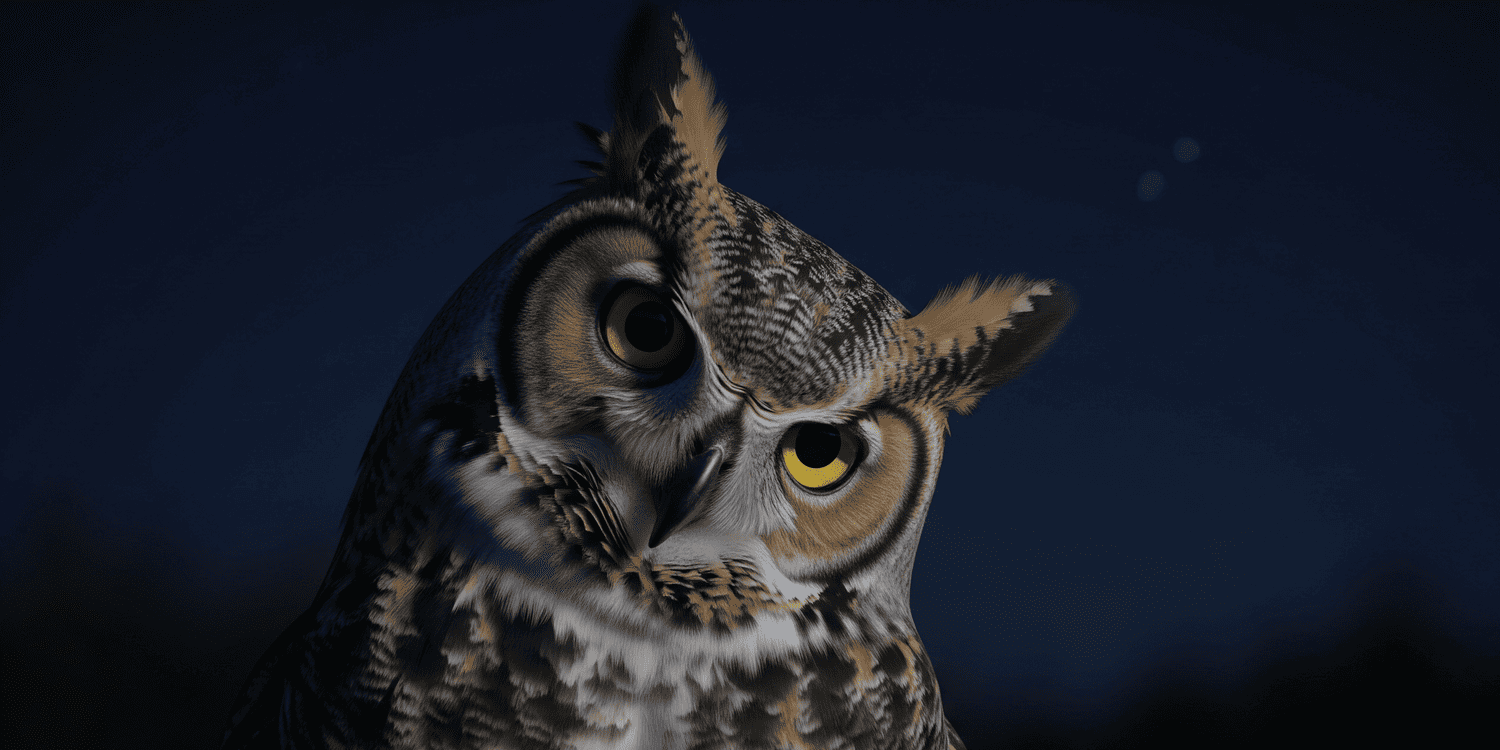 gufo lavoro notturno