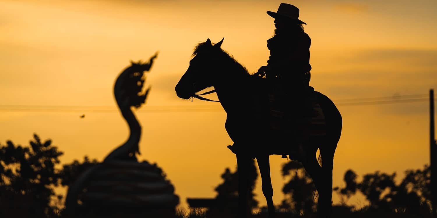 ombre uomo a cavallo tramonto truffe telefoniche