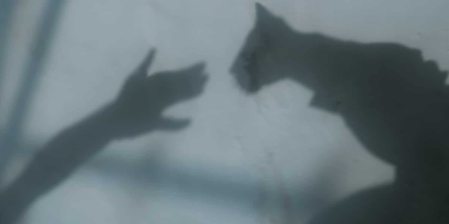ombre di mano cane ombra di gatto
